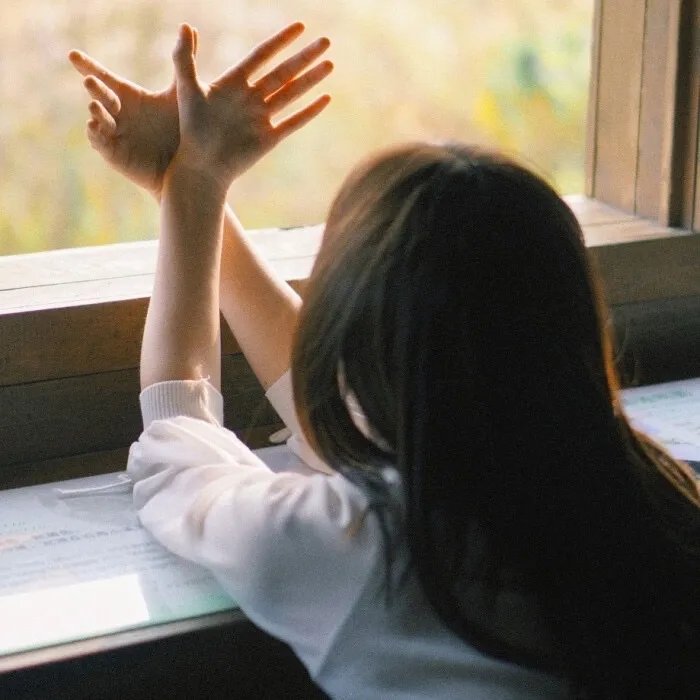 深入敌后：危险营救